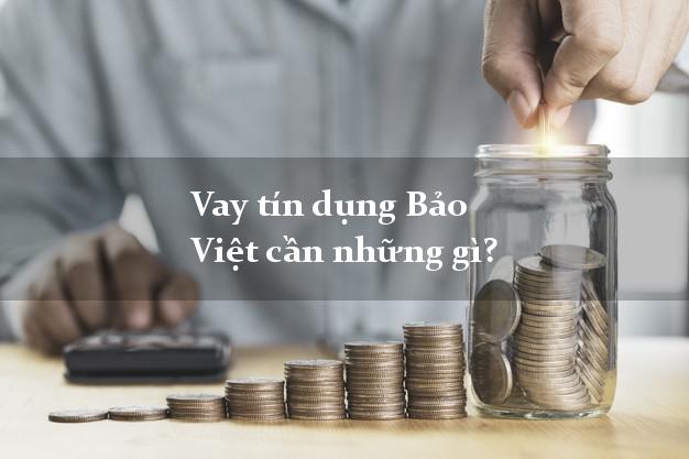 Vay tín dụng Bảo Việt cần những gì?